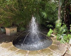 Fountain with plants